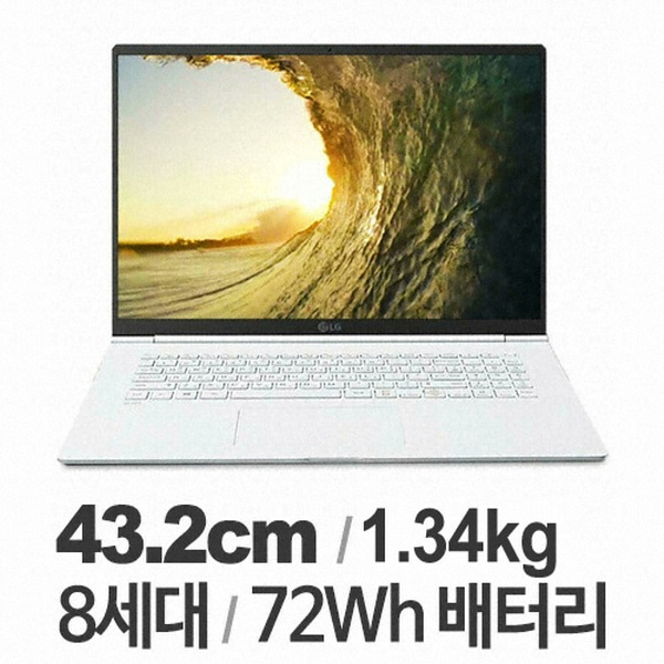 LG전자 그램17 17ZD990-VX50K 正品