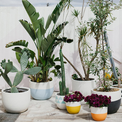 [해외]인테리어 화분 도자기화분 화분받침 식물성 사생활 | 북유럽 화이트 핸드페인팅 삼각형 기하학