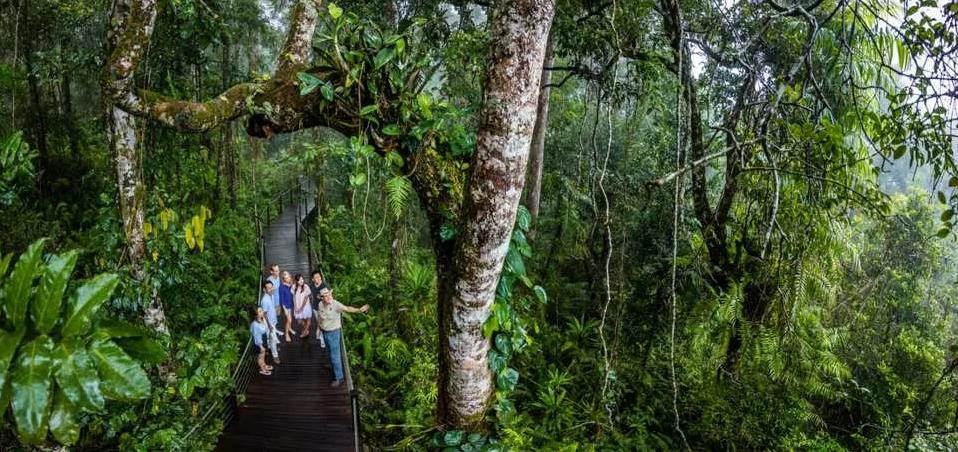 호주 케언즈 쿠란다 스카이레일 & 쿠란다 시닉 레일웨이 패키지