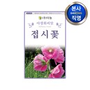 접시꽃 씨앗 1kg 촉규화 접중화 조경 정원 화단 관상용 야생화 꽃씨 종자