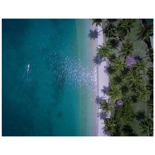 자체제작 필리핀 팔라완 푸에르토 프린세사 포트 바튼 점심 식사와 함께 터틀 스팟 & 산호초로 아일랜드 호핑하기