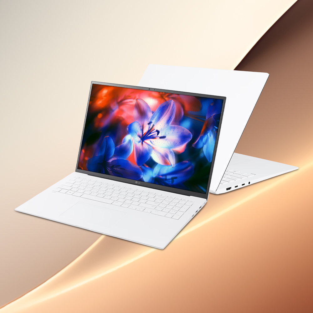 LG전자 LG그램 17ZD90SU-GX56K [총16G/1TB] 메모리 더블업 행사