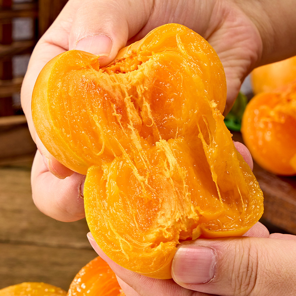 청도연농조합 고당도 청도 반시 씨없는 홍시 감 대봉감 대과 특대과 5kg 제철 감