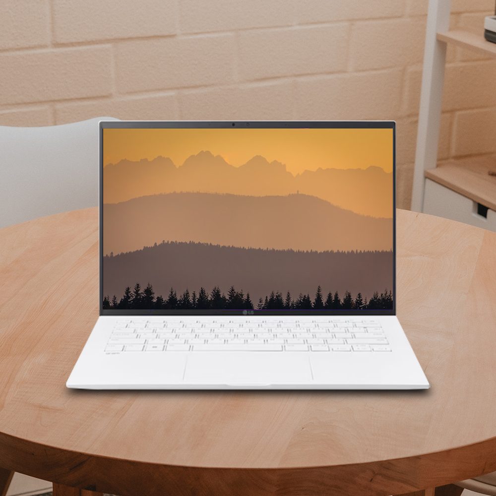 LG전자 그램14 14ZD90RU-GX56K (FREEDOS / SSD 2TB / RAM 16GB) HMC