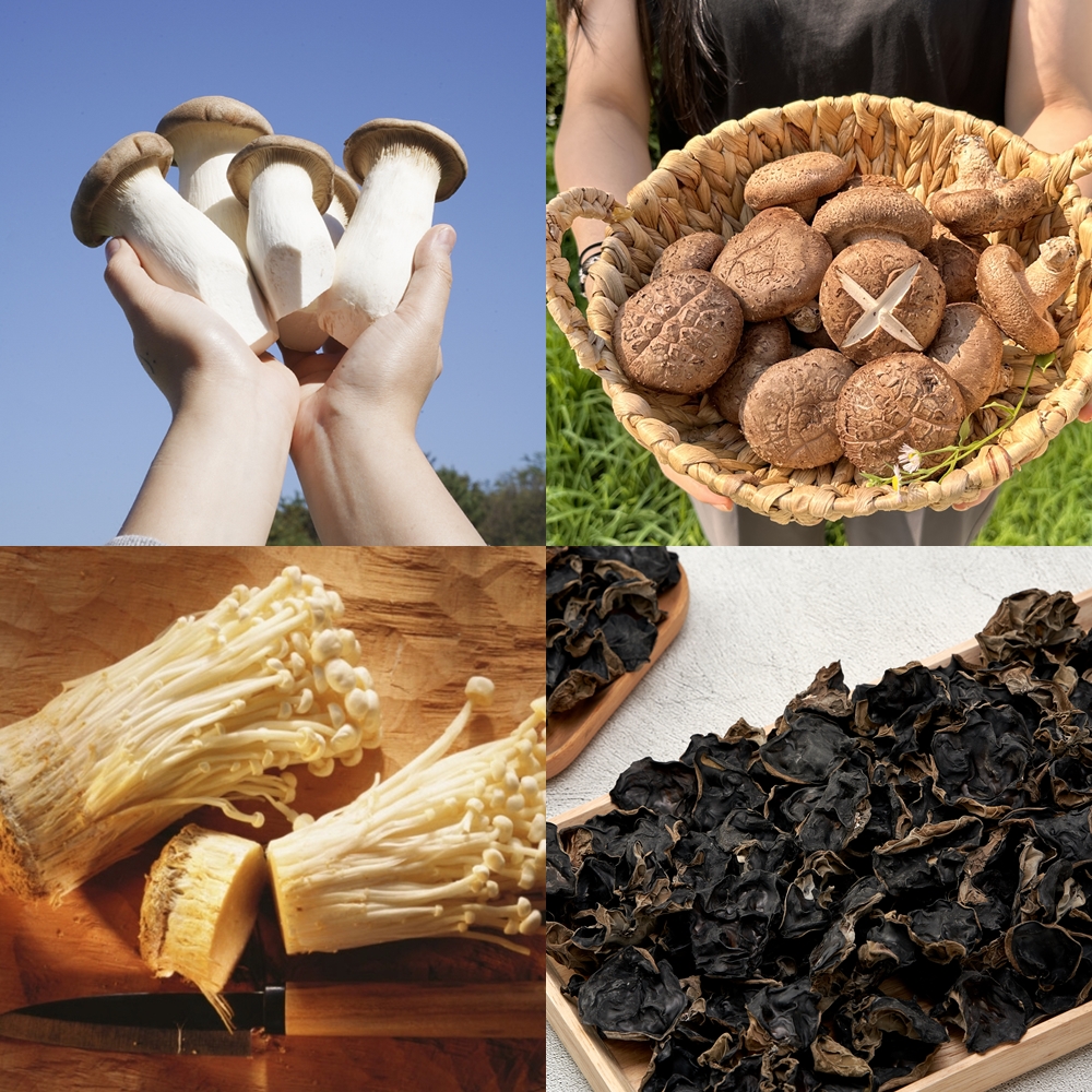 생 건 말린 새송이 표고 목이 버섯 냉동 능이 버섯 특품 못난이 1kg-2kg