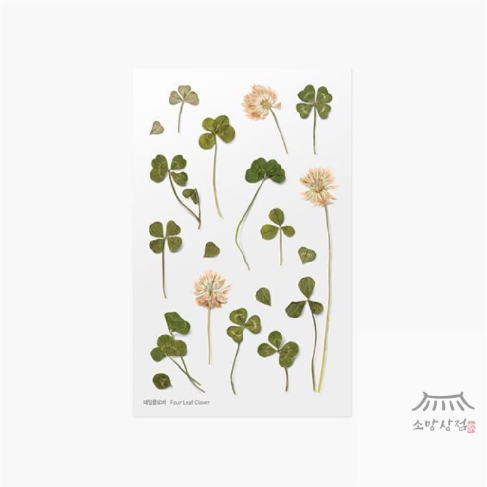 소망상회 압화스티커 네잎클로버 꽃 모양 스티커 핸드폰 꾸미기 선물포장 압화 책갈피