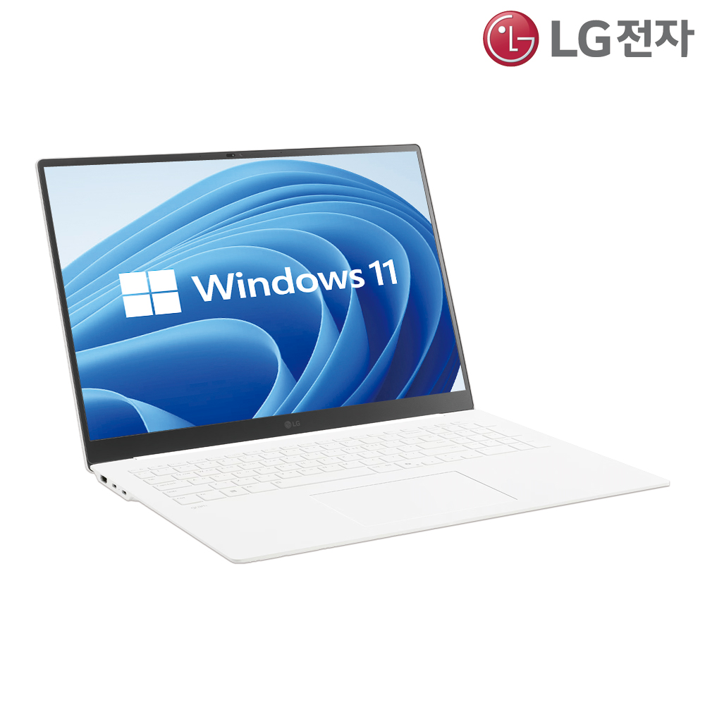 LG 그램 프로 17ZD90TR-SX79K 노트북 / 윈도우 11 설치 / RAM 32GB / NVMe SSD 512GB + NVMe SSD 256GB