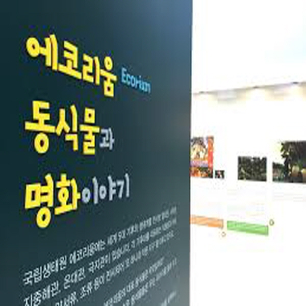 [해외]뭵뭵뭵 e10 한달 리뷰포인트 300냥(텍,포 동일 / 퍼불가)쥬쥬쥬쥬쥬