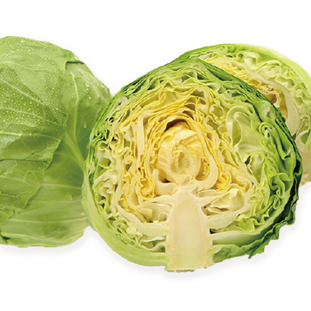 솔티농장영농조합법인 친환경 유기농 양배추 무농약 타임지 선정 3대 슈퍼푸드 청정 산지 직송 3kg, 1개