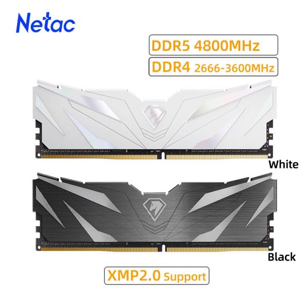 [해외]Netac AMD 인텔 마더보드용 DDR4 RAM 메모리, DDR4, 32GB, 16GB, 8GB, DDR5, 4800MHz, 3200MHz, 3600MHz, 2666MHz