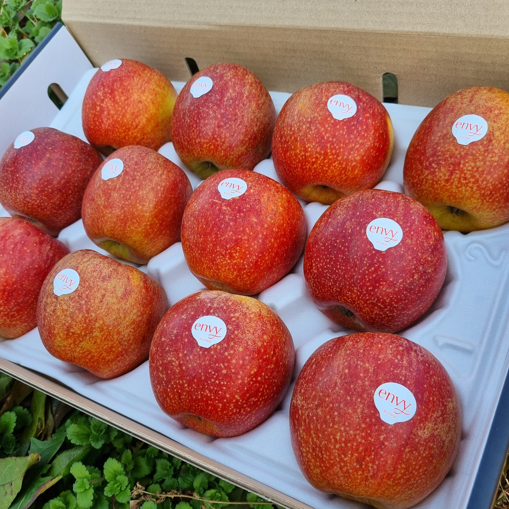 스토어빌 협력농가 고당도 고지대 충남 예산 프리미엄 엔비사과 envy 2kg 3kg 5kg 10kg