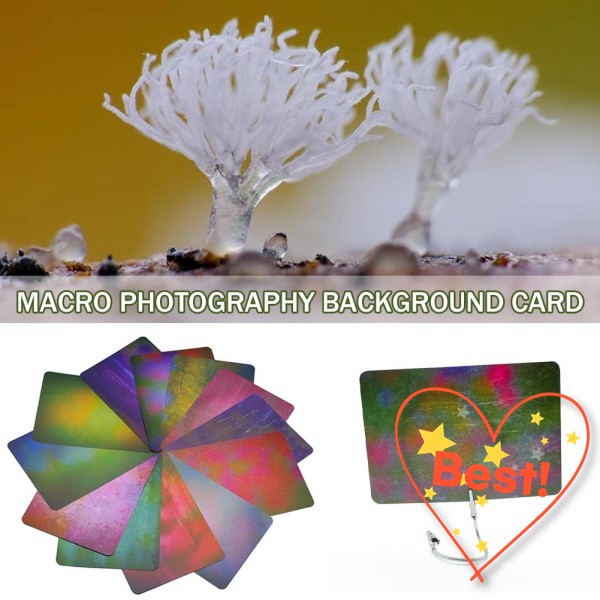 100% 호환 매크로 사진 배경 카드 멀티 컬러 빛 흐림 흡수 재료 생태 Creati V3D9